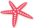 Starfish